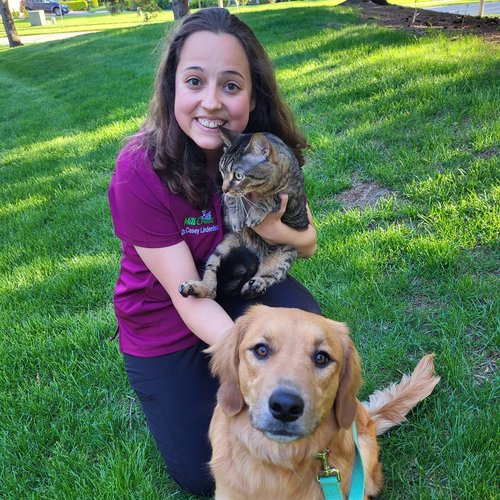 Dr. Casey Lindenfeld