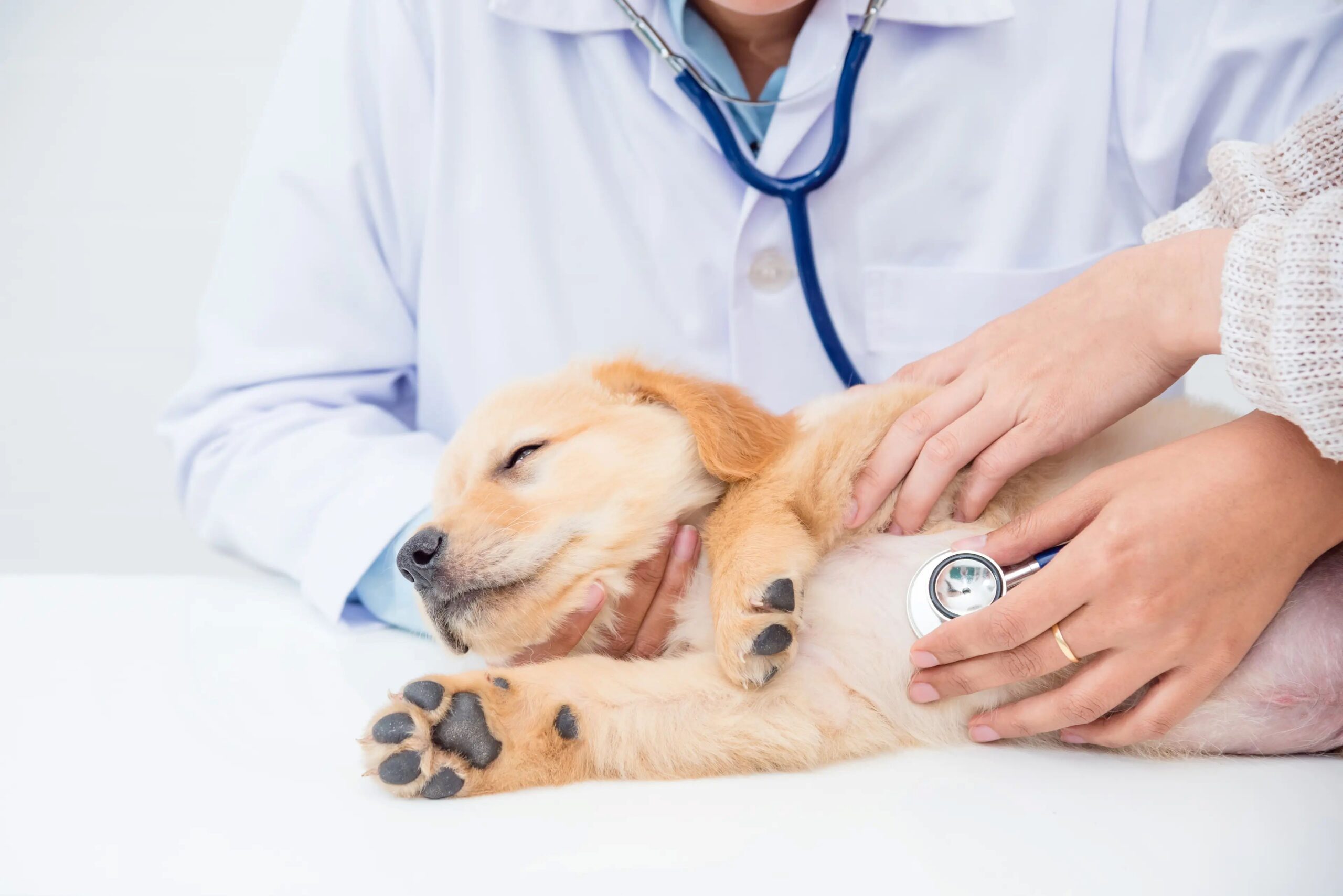Advanced Diagnostics & Imaging